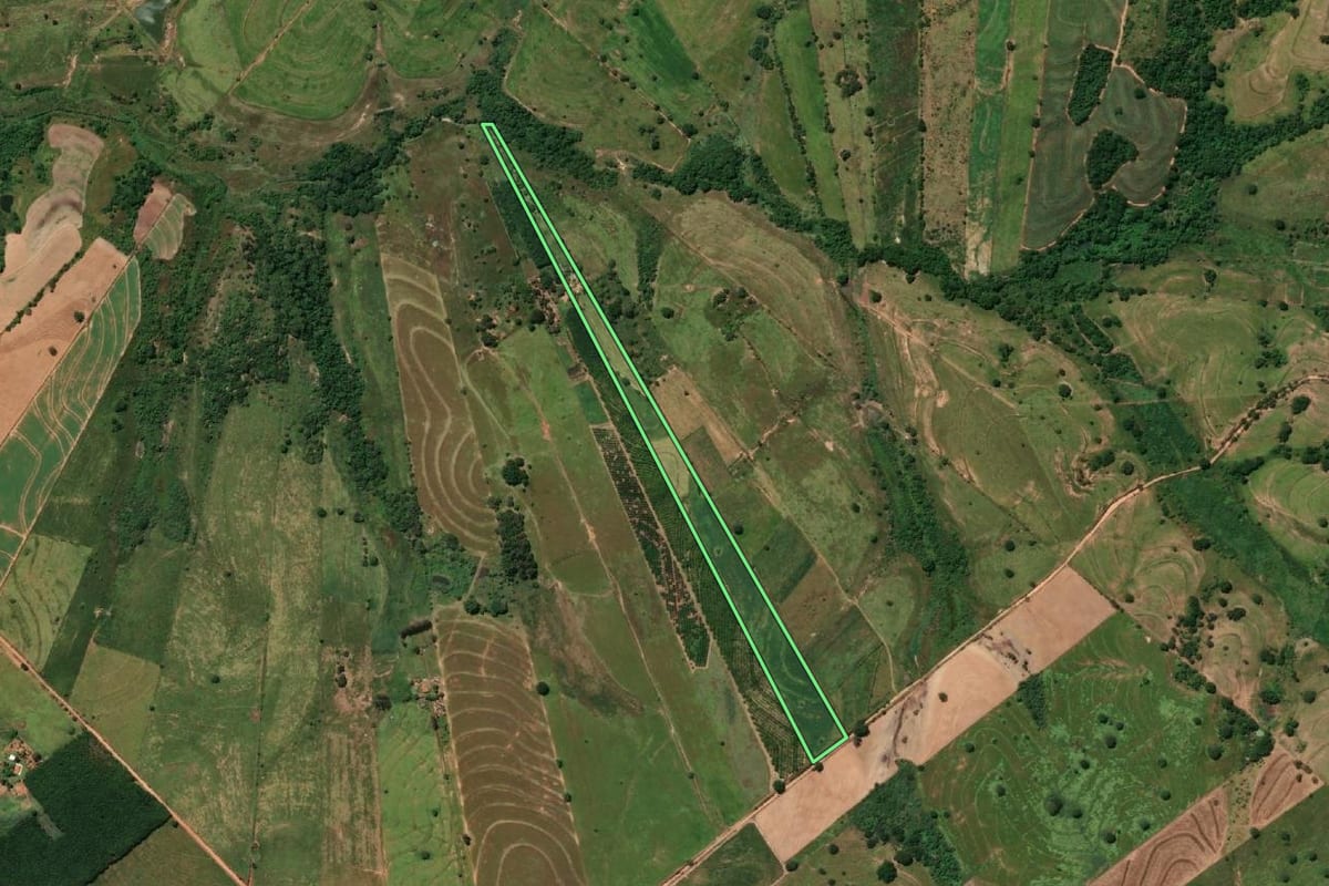Imagem de satélite do imóvel rural em Rinópolis (SP), com o contorno declarado no CAR desenhado por cima.