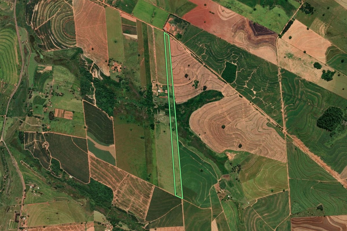 Imagem de satélite do imóvel rural em Rinópolis (SP), com o contorno declarado no CAR desenhado por cima.