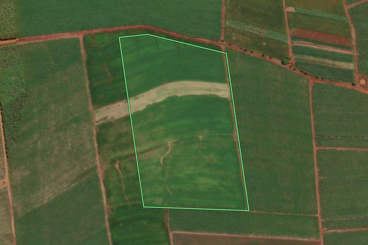 Imagem de satélite do imóvel rural em Rio Claro (SP), com o contorno declarado no CAR desenhado por cima.