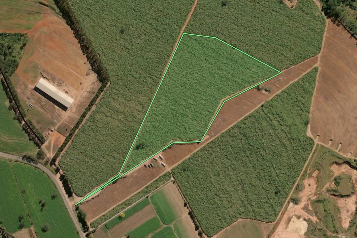 Imagem de satélite do imóvel rural em Rio Claro (SP), com o contorno declarado no CAR desenhado por cima.