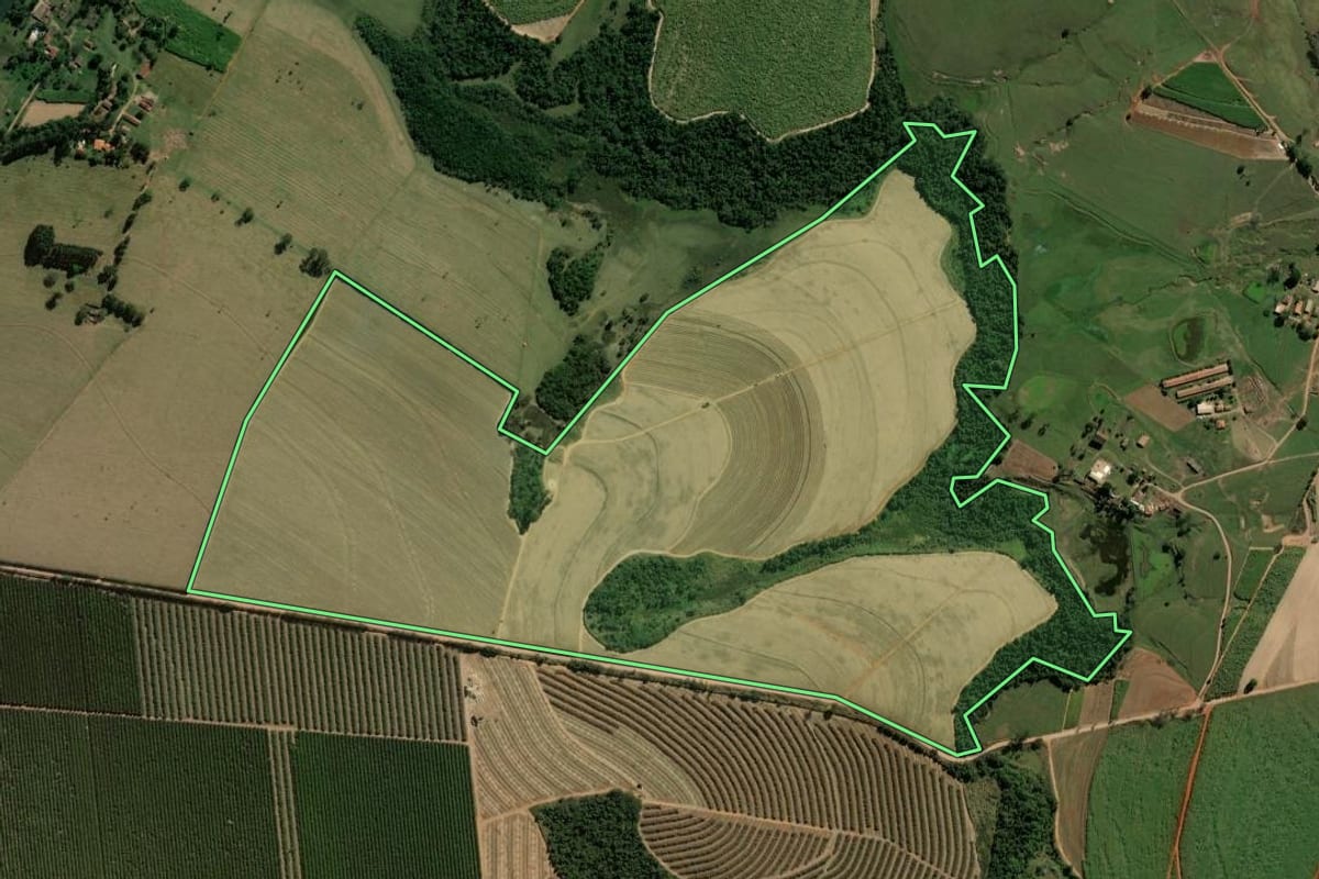 Imagem de satélite do imóvel rural em Rio Claro (SP), com o contorno declarado no CAR desenhado por cima.