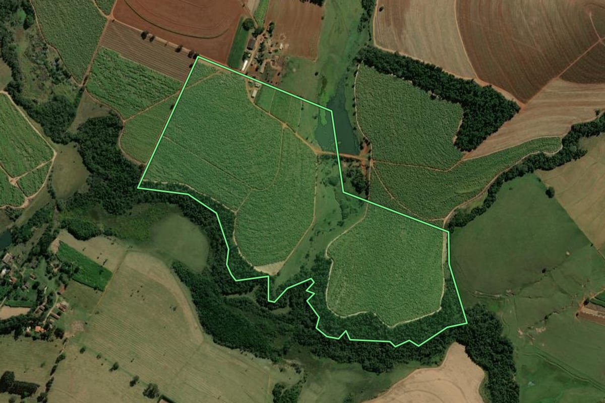 Imagem de satélite do imóvel rural em Rio Claro (SP), com o contorno declarado no CAR desenhado por cima.