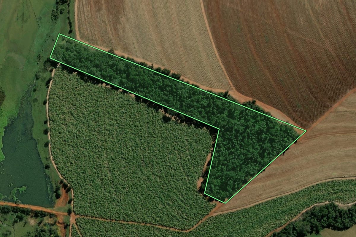 Imagem de satélite do imóvel rural em Rio Claro (SP), com o contorno declarado no CAR desenhado por cima.
