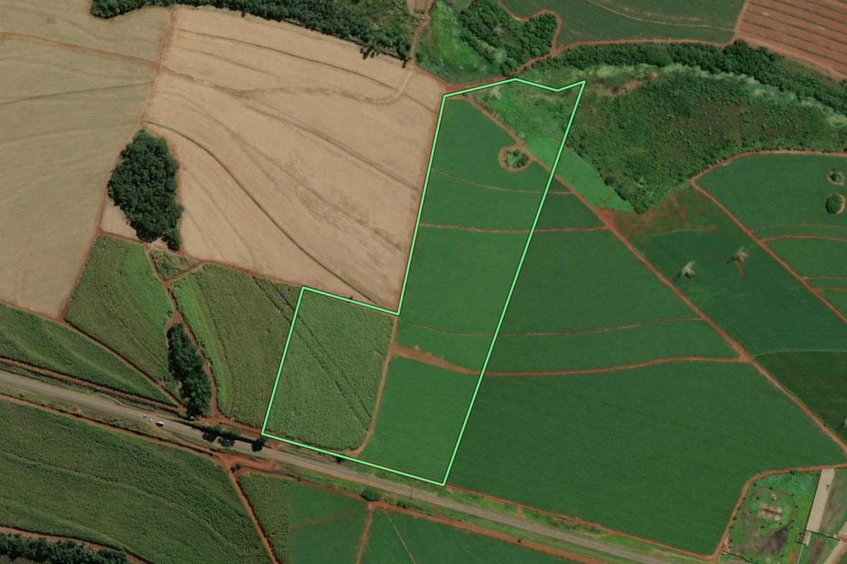 Imagem de satélite do imóvel rural em Rio Claro (SP), com o contorno declarado no CAR desenhado por cima.