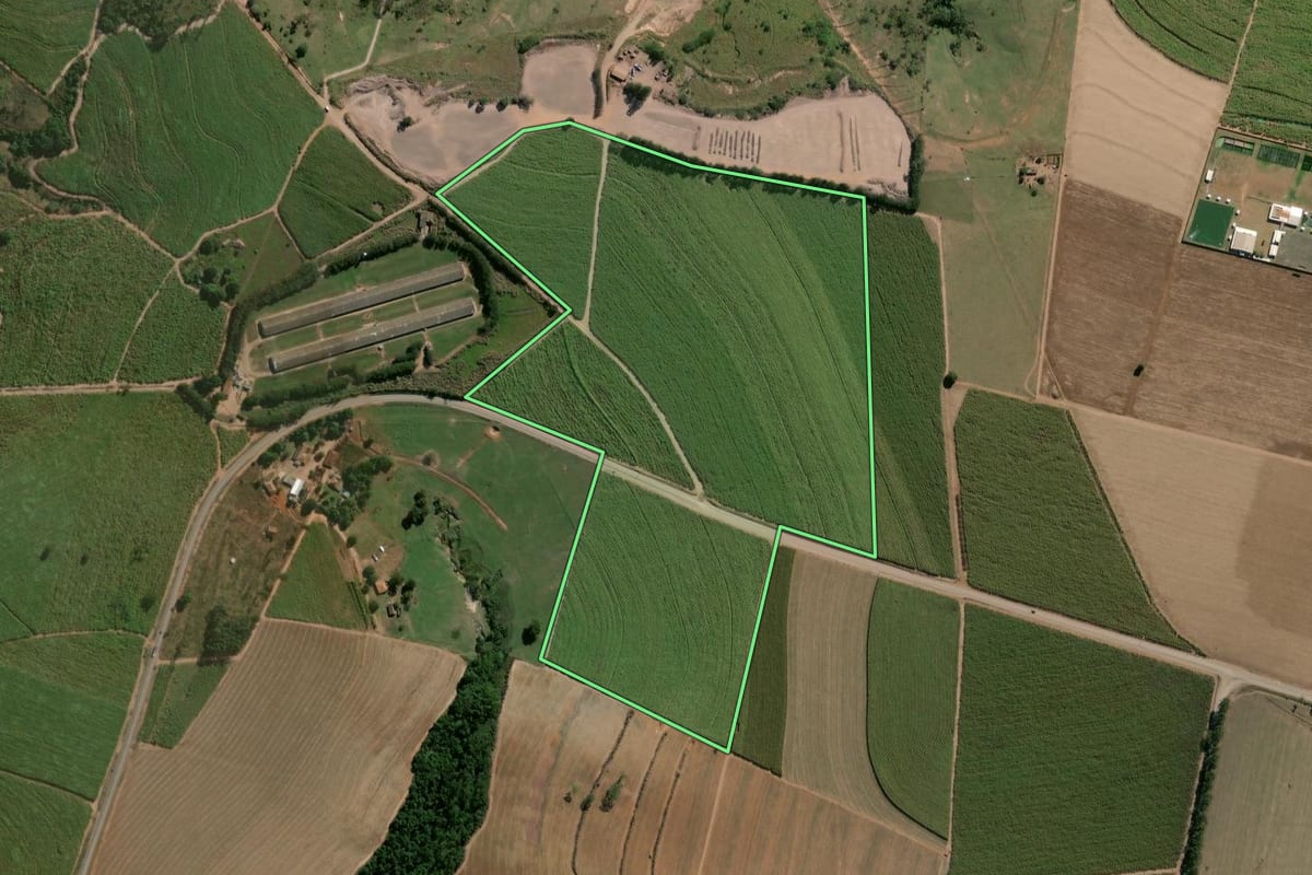 Imagem de satélite do imóvel rural em Rio Claro (SP), com o contorno declarado no CAR desenhado por cima.