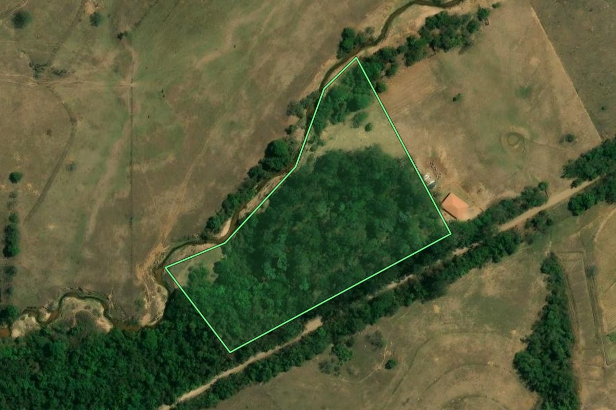 Imagem de satélite do imóvel rural em Rio Claro (SP), com o contorno declarado no CAR desenhado por cima.