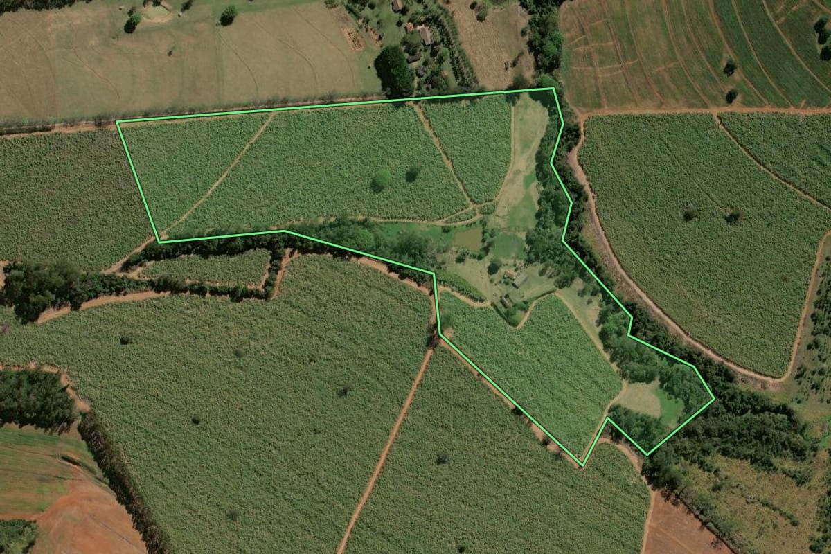 Imagem de satélite do imóvel rural em Rio Claro (SP), com o contorno declarado no CAR desenhado por cima.