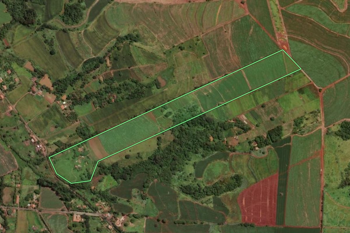Imagem de satélite do imóvel rural em Rio Claro (SP), com o contorno declarado no CAR desenhado por cima.
