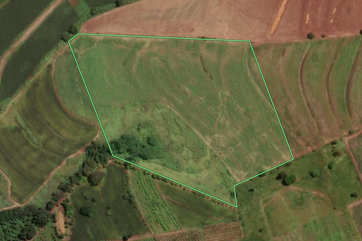 Imagem de satélite do imóvel rural em Rio Claro (SP), com o contorno declarado no CAR desenhado por cima.