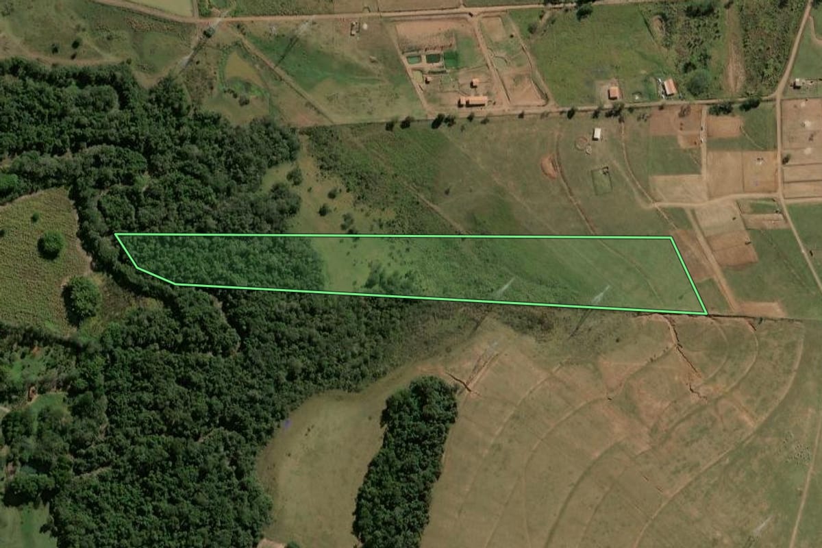 Imagem de satélite do imóvel rural em Rio Claro (SP), com o contorno declarado no CAR desenhado por cima.