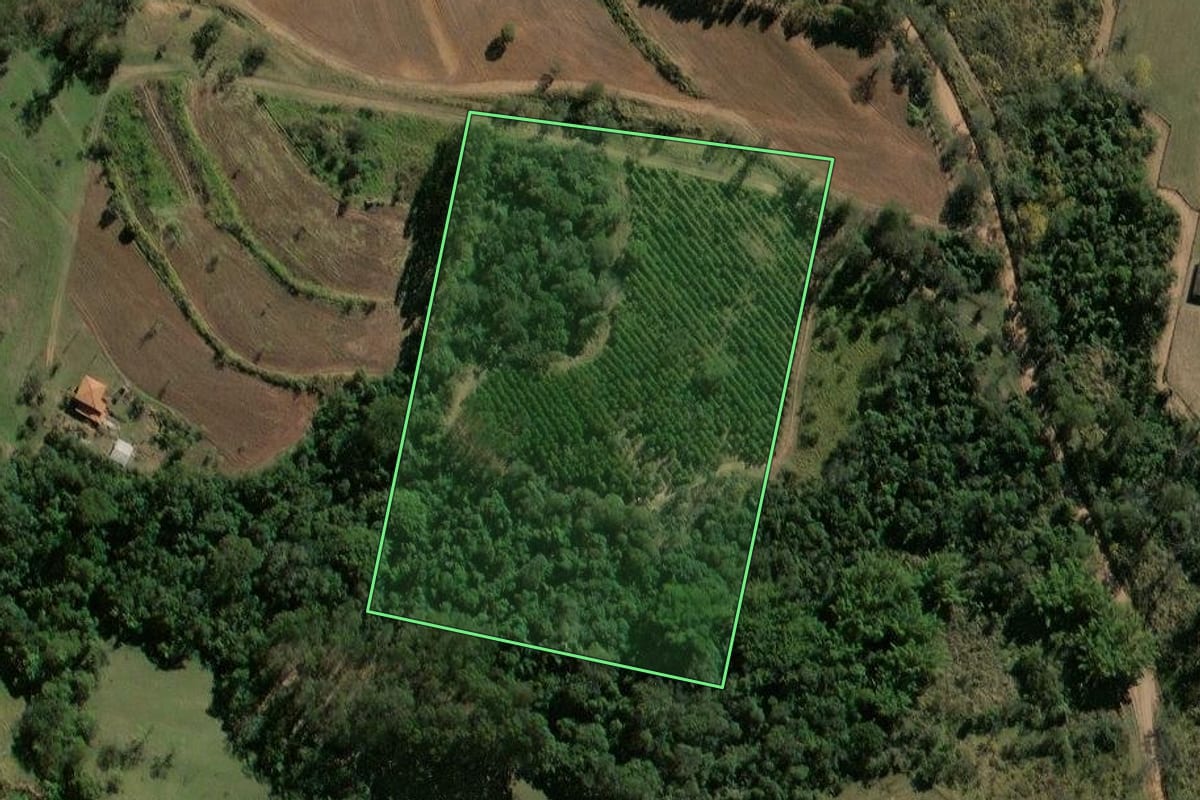 Imagem de satélite do imóvel rural em Rio Claro (SP), com o contorno declarado no CAR desenhado por cima.
