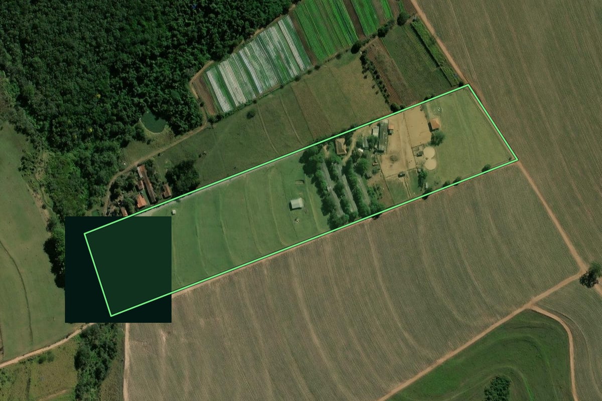 Imagem de satélite do imóvel rural em Rio Claro (SP), com o contorno declarado no CAR desenhado por cima.