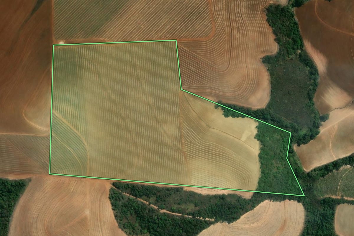 Imagem de satélite do imóvel rural em Rio das Pedras (SP), com o contorno declarado no CAR desenhado por cima.