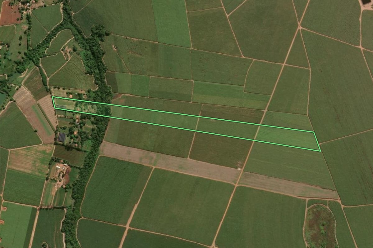 Imagem de satélite do imóvel rural em Rio das Pedras (SP), com o contorno declarado no CAR desenhado por cima.