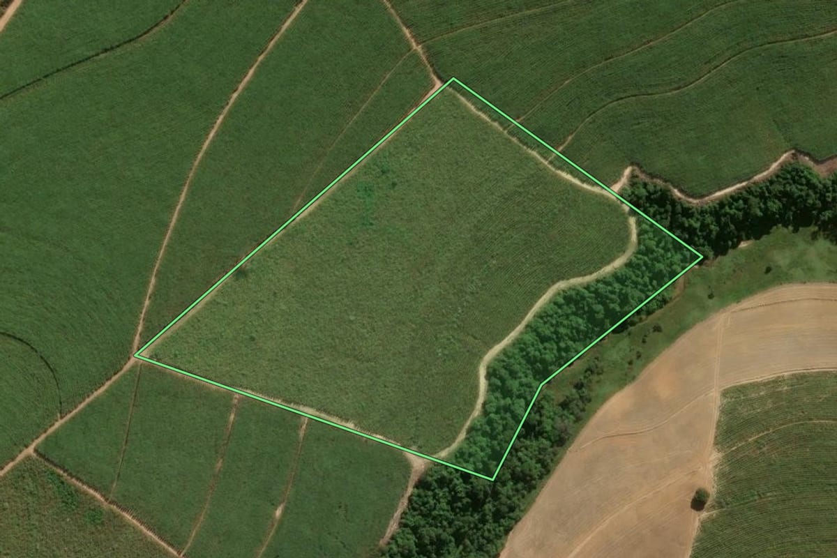 Imagem de satélite do imóvel rural em Rio das Pedras (SP), com o contorno declarado no CAR desenhado por cima.