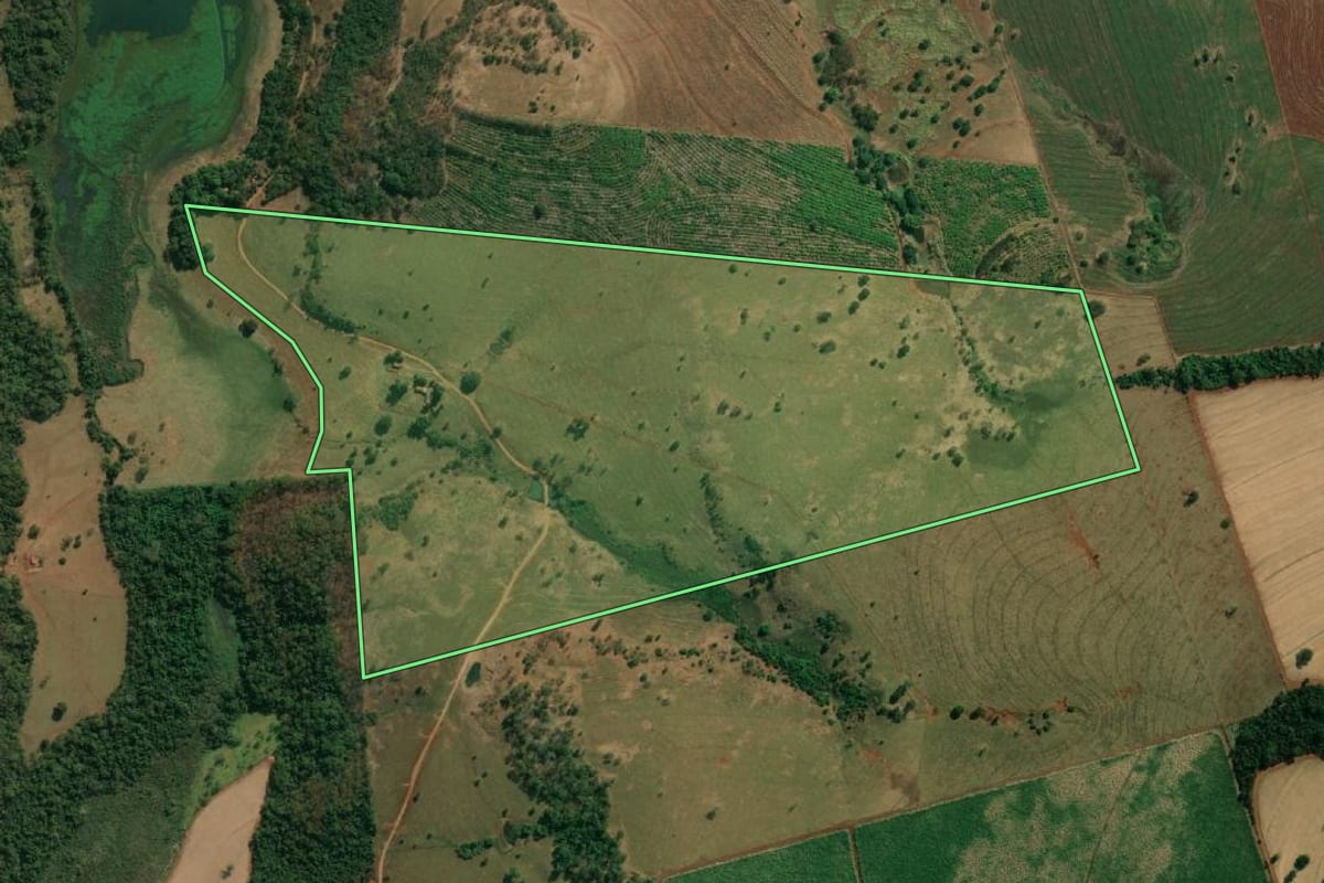 Imagem de satélite do imóvel rural em Riolândia (SP), com o contorno declarado no CAR desenhado por cima.