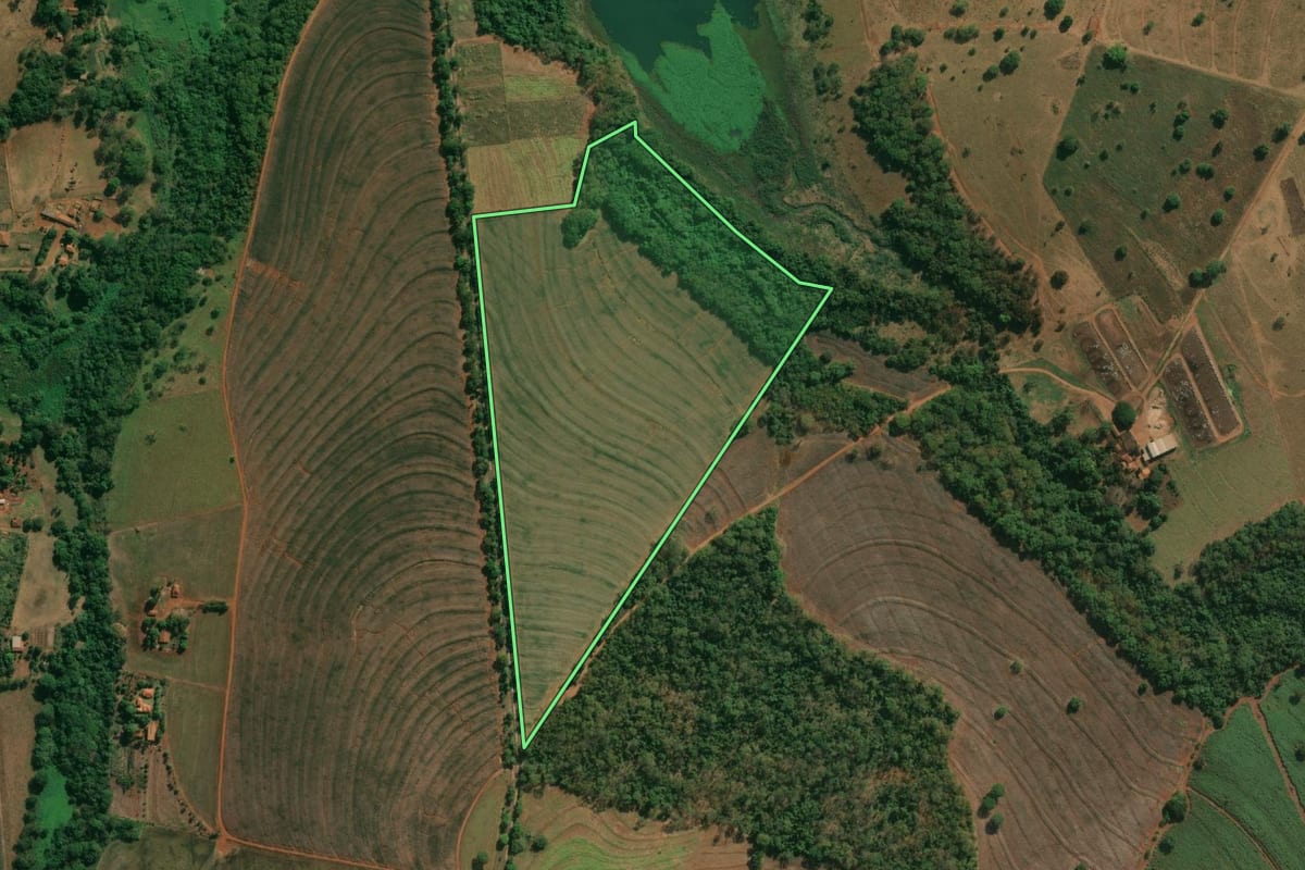 Imagem de satélite do imóvel rural em Riolândia (SP), com o contorno declarado no CAR desenhado por cima.