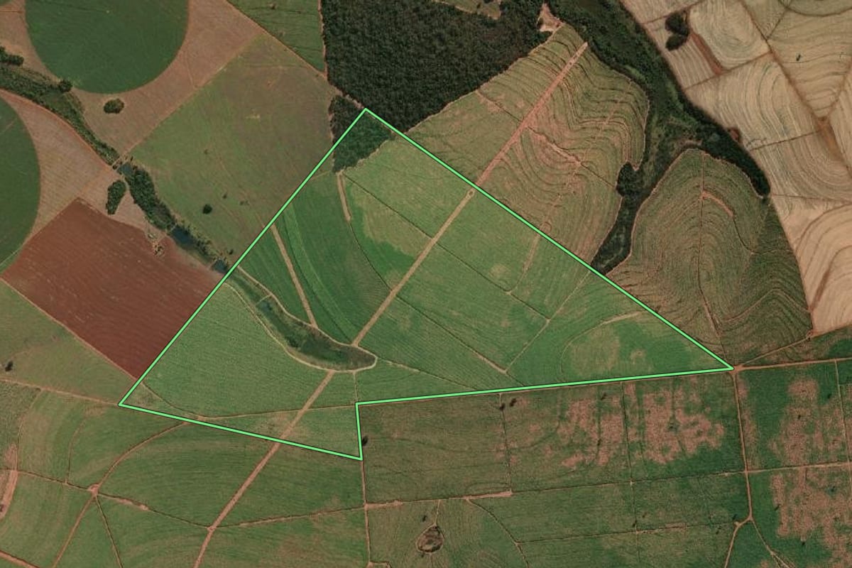 Imagem de satélite do imóvel rural em Riolândia (SP), com o contorno declarado no CAR desenhado por cima.