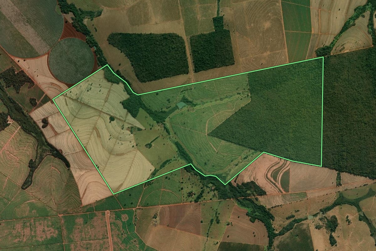Imagem de satélite do imóvel rural em Riolândia (SP), com o contorno declarado no CAR desenhado por cima.