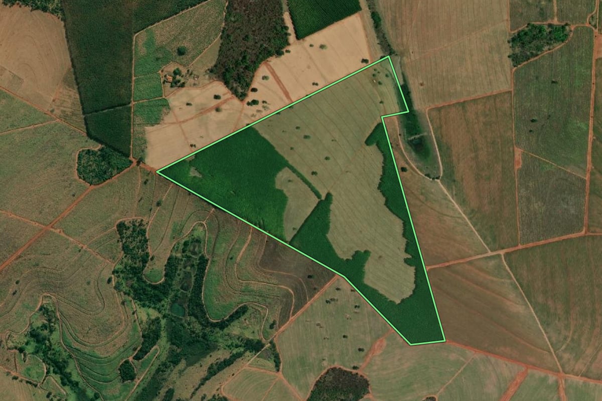 Imagem de satélite do imóvel rural em Riolândia (SP), com o contorno declarado no CAR desenhado por cima.