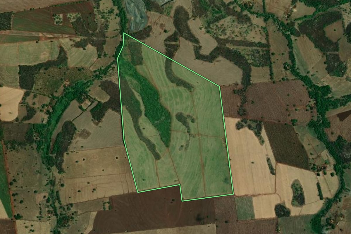 Imagem de satélite do imóvel rural em Riolândia (SP), com o contorno declarado no CAR desenhado por cima.