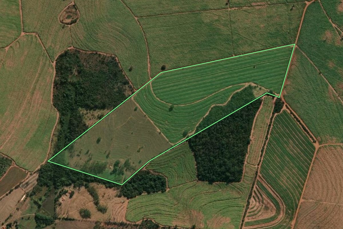 Imagem de satélite do imóvel rural em Riolândia (SP), com o contorno declarado no CAR desenhado por cima.