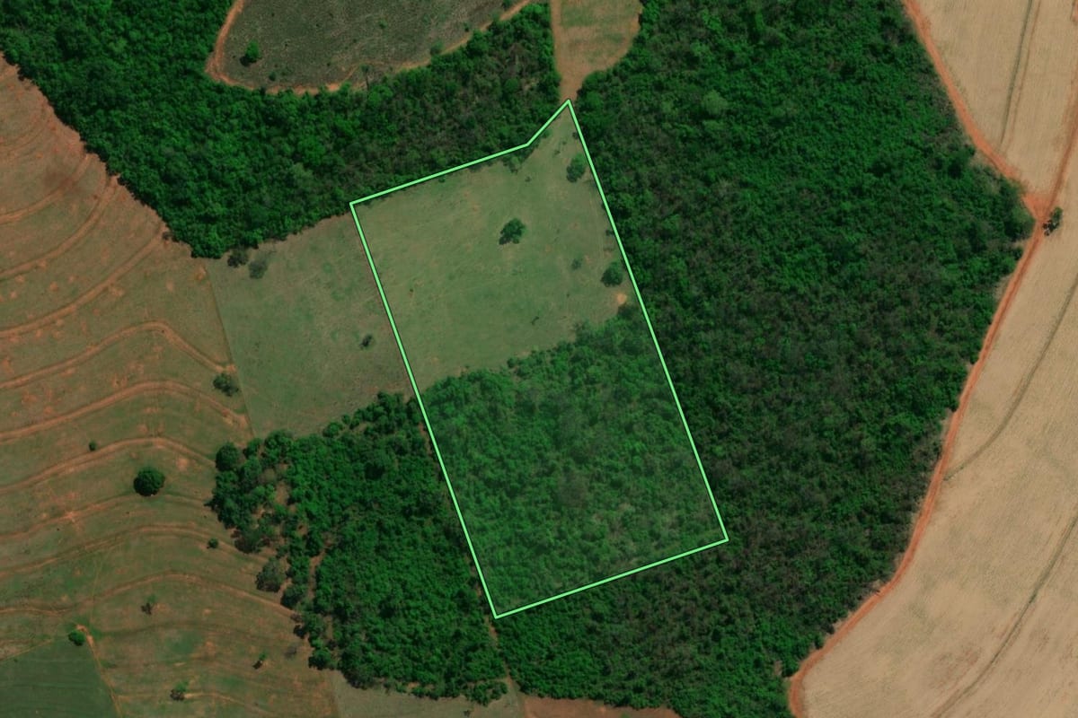 Imagem de satélite do imóvel rural em Riolândia (SP), com o contorno declarado no CAR desenhado por cima.