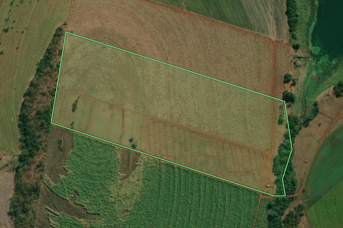 Imagem de satélite do imóvel rural em Riolândia (SP), com o contorno declarado no CAR desenhado por cima.