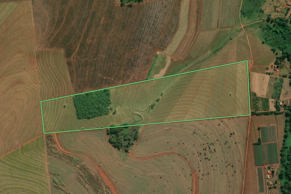 Imagem de satélite do imóvel rural em Riolândia (SP), com o contorno declarado no CAR desenhado por cima.