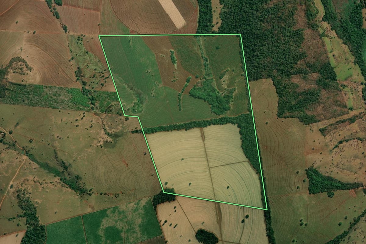 Imagem de satélite do imóvel rural em Riolândia (SP), com o contorno declarado no CAR desenhado por cima.