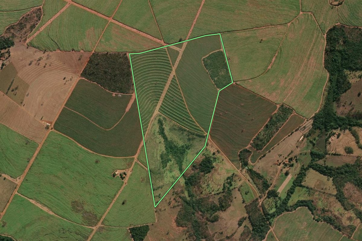 Imagem de satélite do imóvel rural em Riolândia (SP), com o contorno declarado no CAR desenhado por cima.