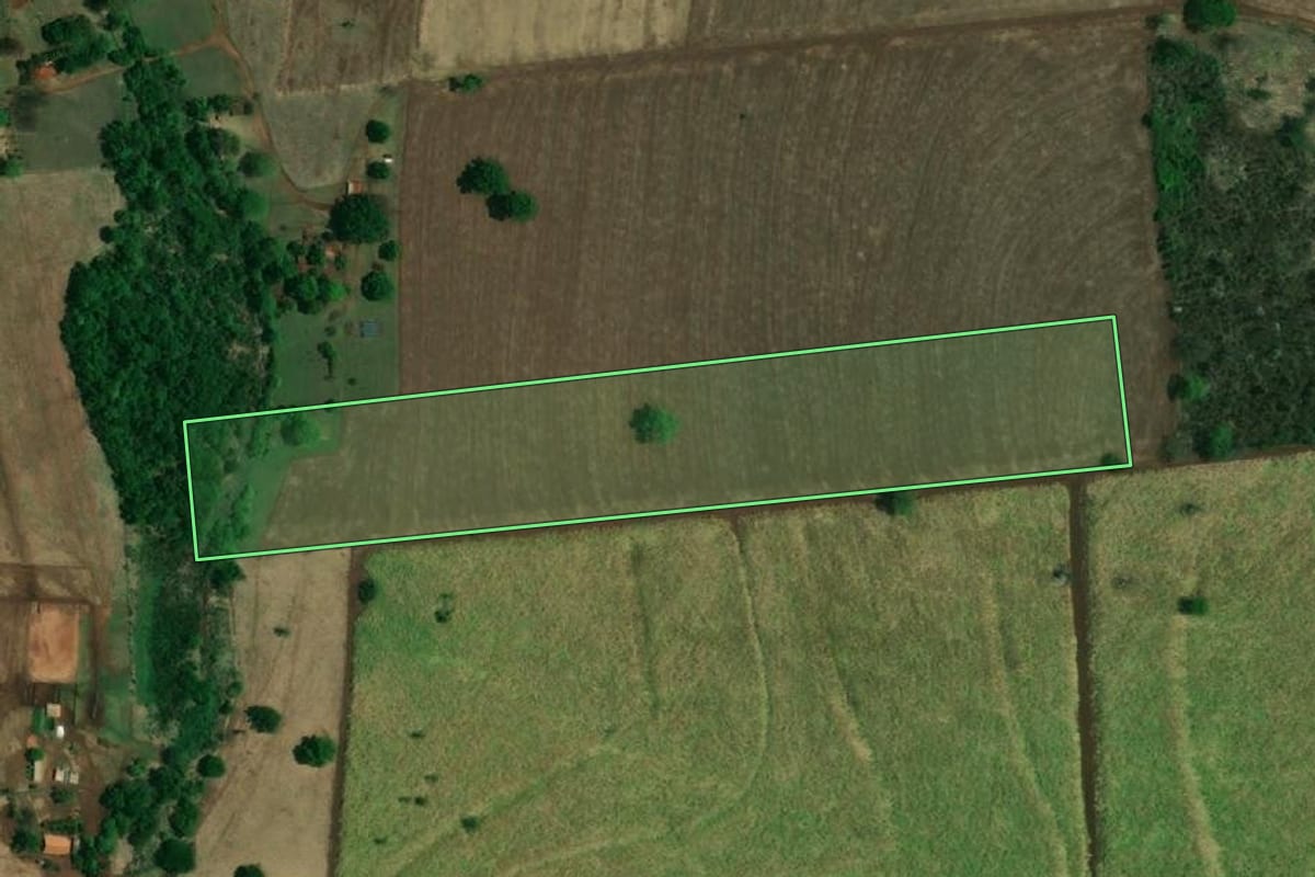 Imagem de satélite do imóvel rural em Riolândia (SP), com o contorno declarado no CAR desenhado por cima.