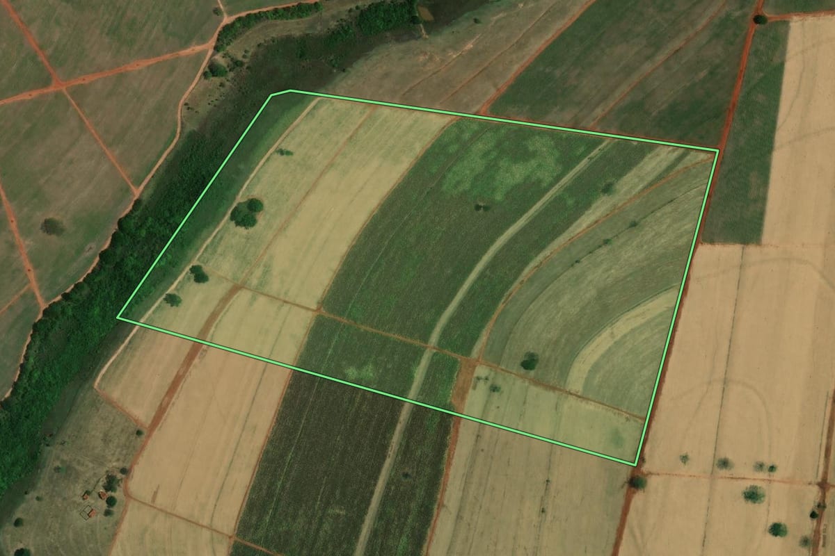 Imagem de satélite do imóvel rural em Riolândia (SP), com o contorno declarado no CAR desenhado por cima.