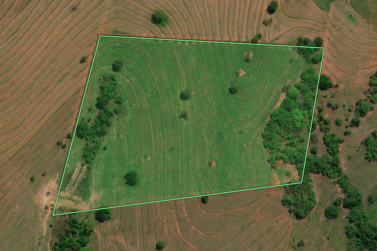 Imagem de satélite do imóvel rural em Riolândia (SP), com o contorno declarado no CAR desenhado por cima.