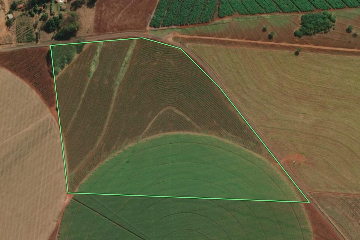 Imagem de satélite do imóvel rural em Riolândia (SP), com o contorno declarado no CAR desenhado por cima.