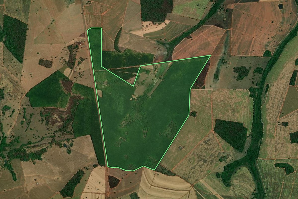 Imagem de satélite do imóvel rural em Riolândia (SP), com o contorno declarado no CAR desenhado por cima.