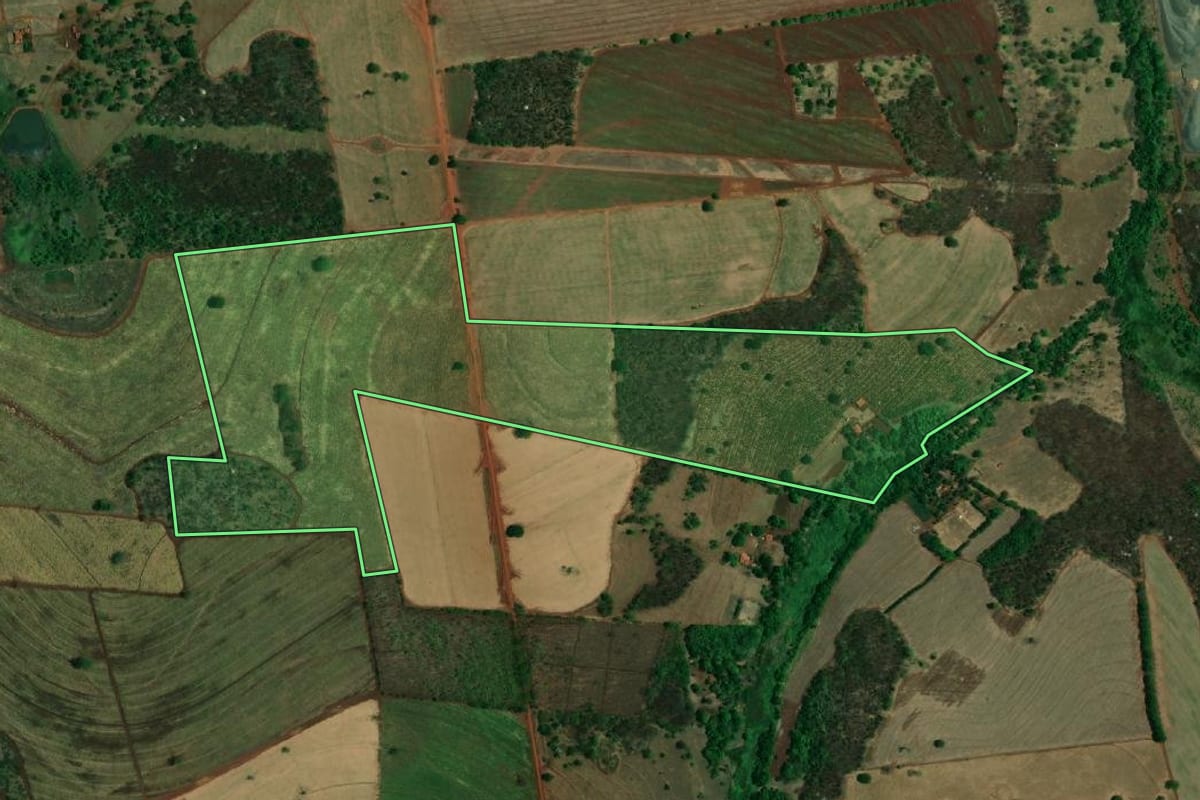 Imagem de satélite do imóvel rural em Riolândia (SP), com o contorno declarado no CAR desenhado por cima.