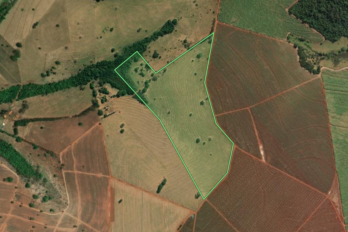 Imagem de satélite do imóvel rural em Riolândia (SP), com o contorno declarado no CAR desenhado por cima.