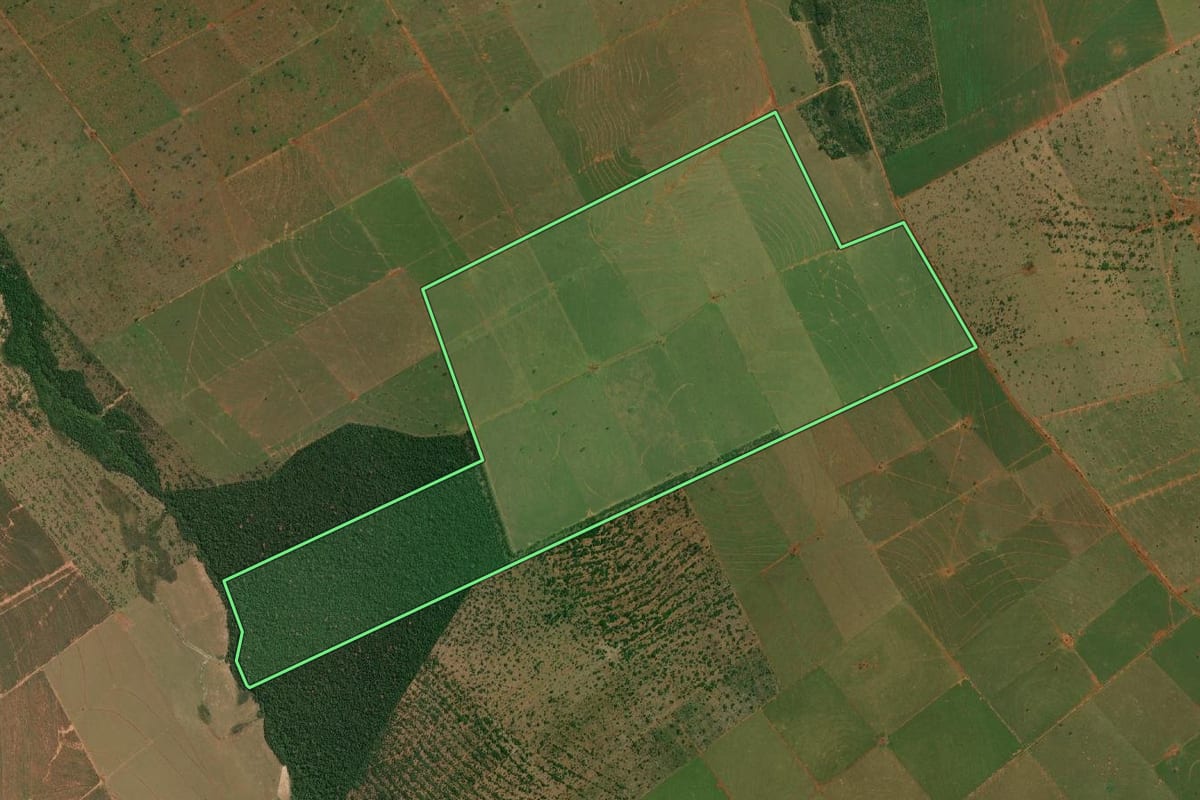 Imagem de satélite do imóvel rural em Rosana (SP), com o contorno declarado no CAR desenhado por cima.