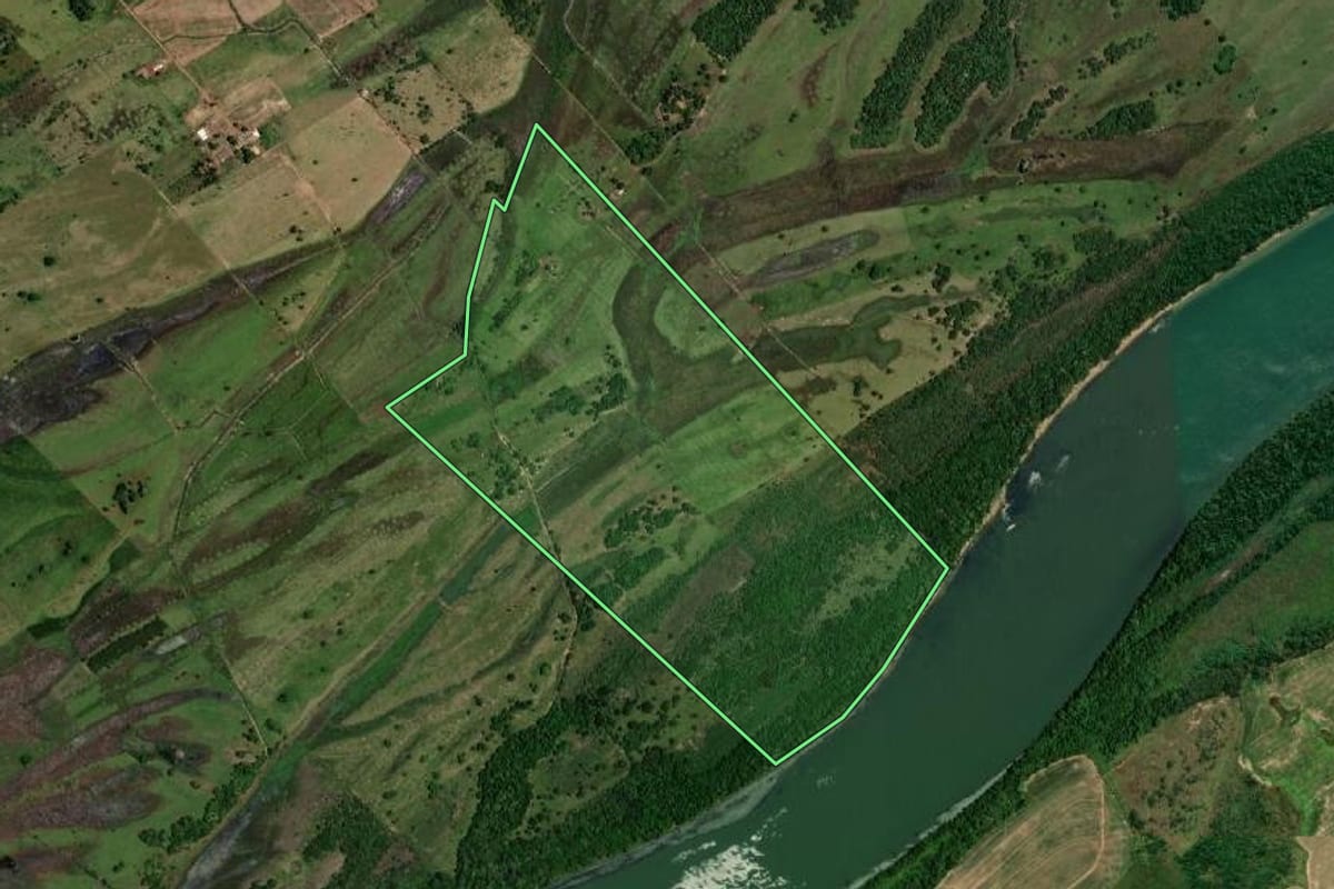 Imagem de satélite do imóvel rural em Rosana (SP), com o contorno declarado no CAR desenhado por cima.