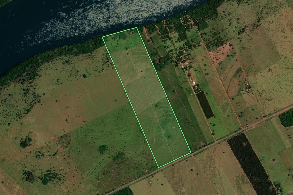 Imagem de satélite do imóvel rural em Rosana (SP), com o contorno declarado no CAR desenhado por cima.