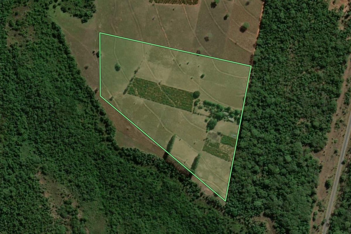 Imagem de satélite do imóvel rural em Rosana (SP), com o contorno declarado no CAR desenhado por cima.