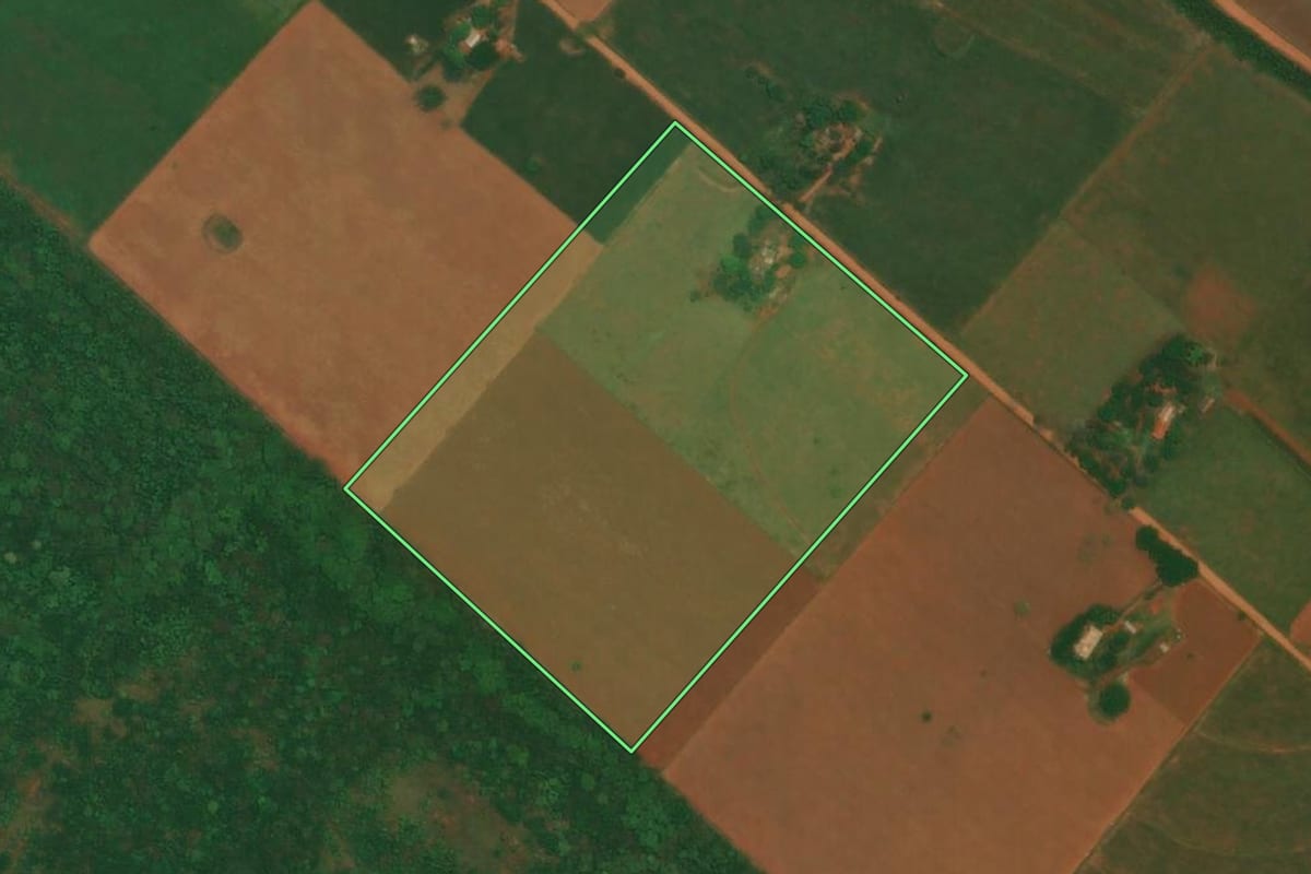 Imagem de satélite do imóvel rural em Rosana (SP), com o contorno declarado no CAR desenhado por cima.