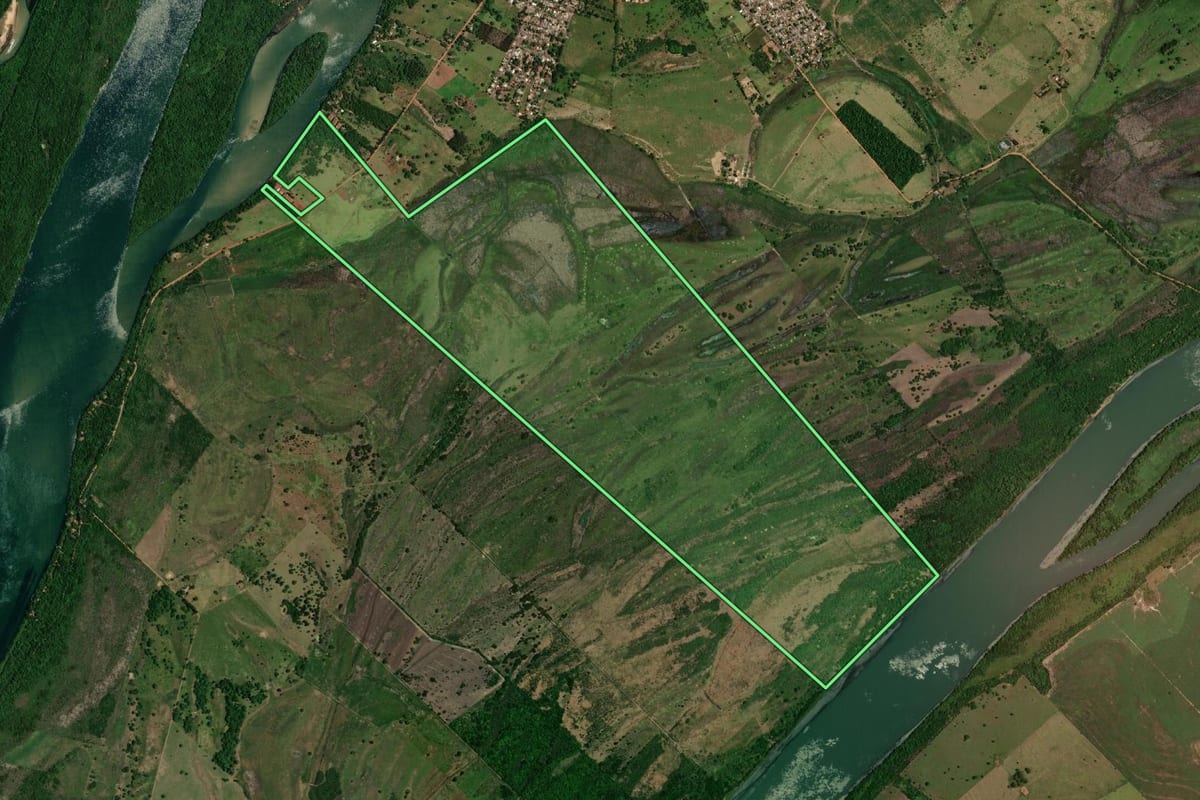 Imagem de satélite do imóvel rural em Rosana (SP), com o contorno declarado no CAR desenhado por cima.