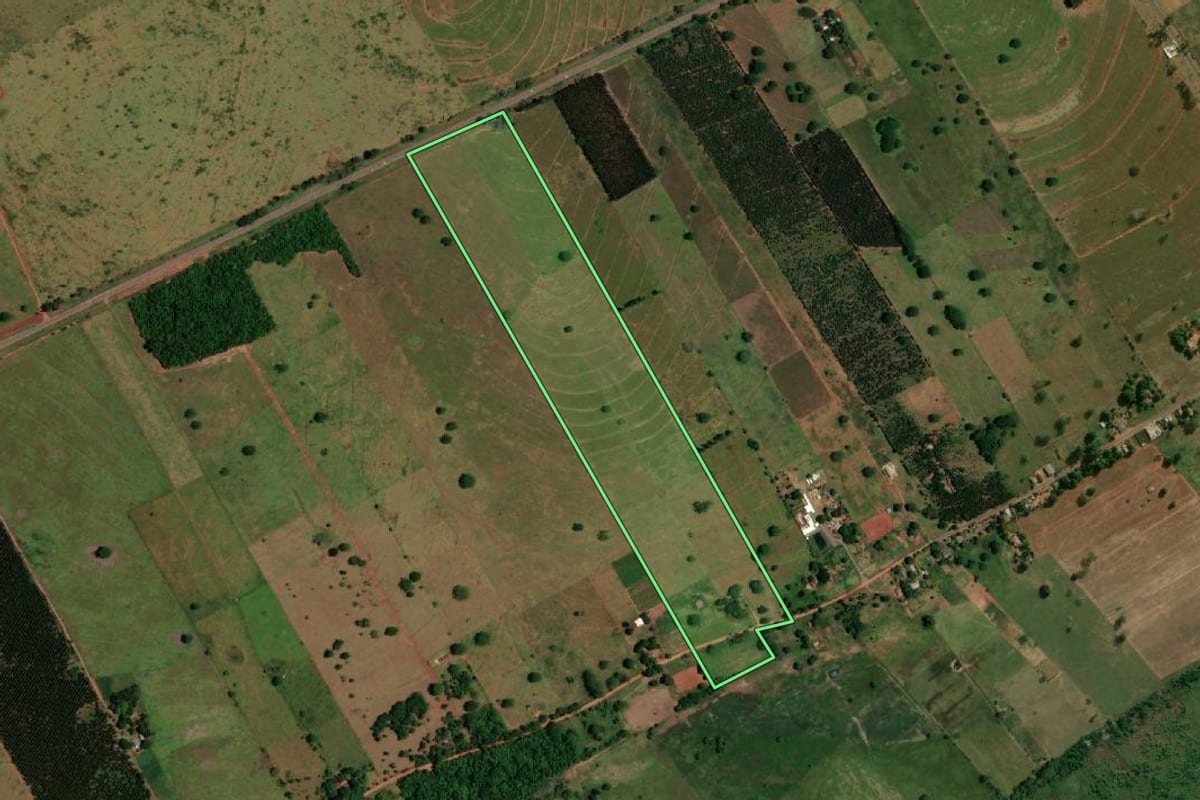 Imagem de satélite do imóvel rural em Rosana (SP), com o contorno declarado no CAR desenhado por cima.
