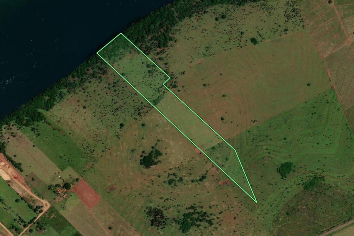 Imagem de satélite do imóvel rural em Rosana (SP), com o contorno declarado no CAR desenhado por cima.
