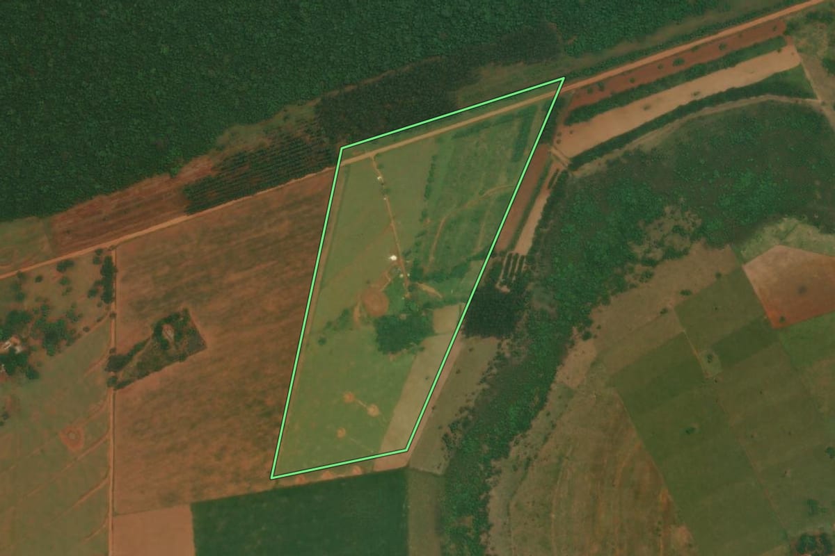 Imagem de satélite do imóvel rural em Rosana (SP), com o contorno declarado no CAR desenhado por cima.