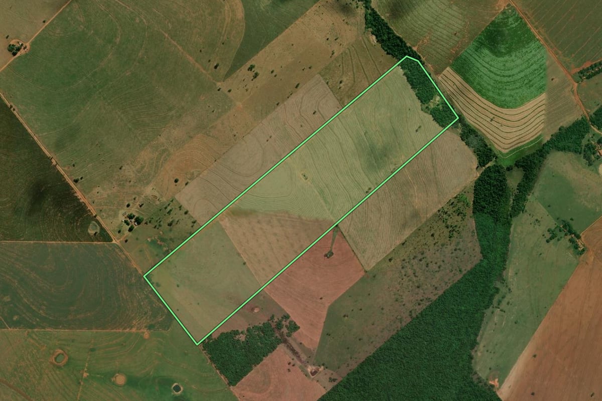 Imagem de satélite do imóvel rural em Rosana (SP), com o contorno declarado no CAR desenhado por cima.