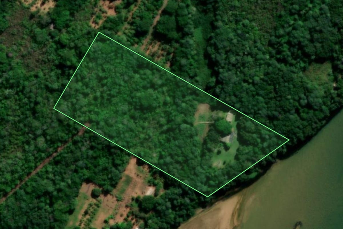 Imagem de satélite do imóvel rural em Rosana (SP), com o contorno declarado no CAR desenhado por cima.