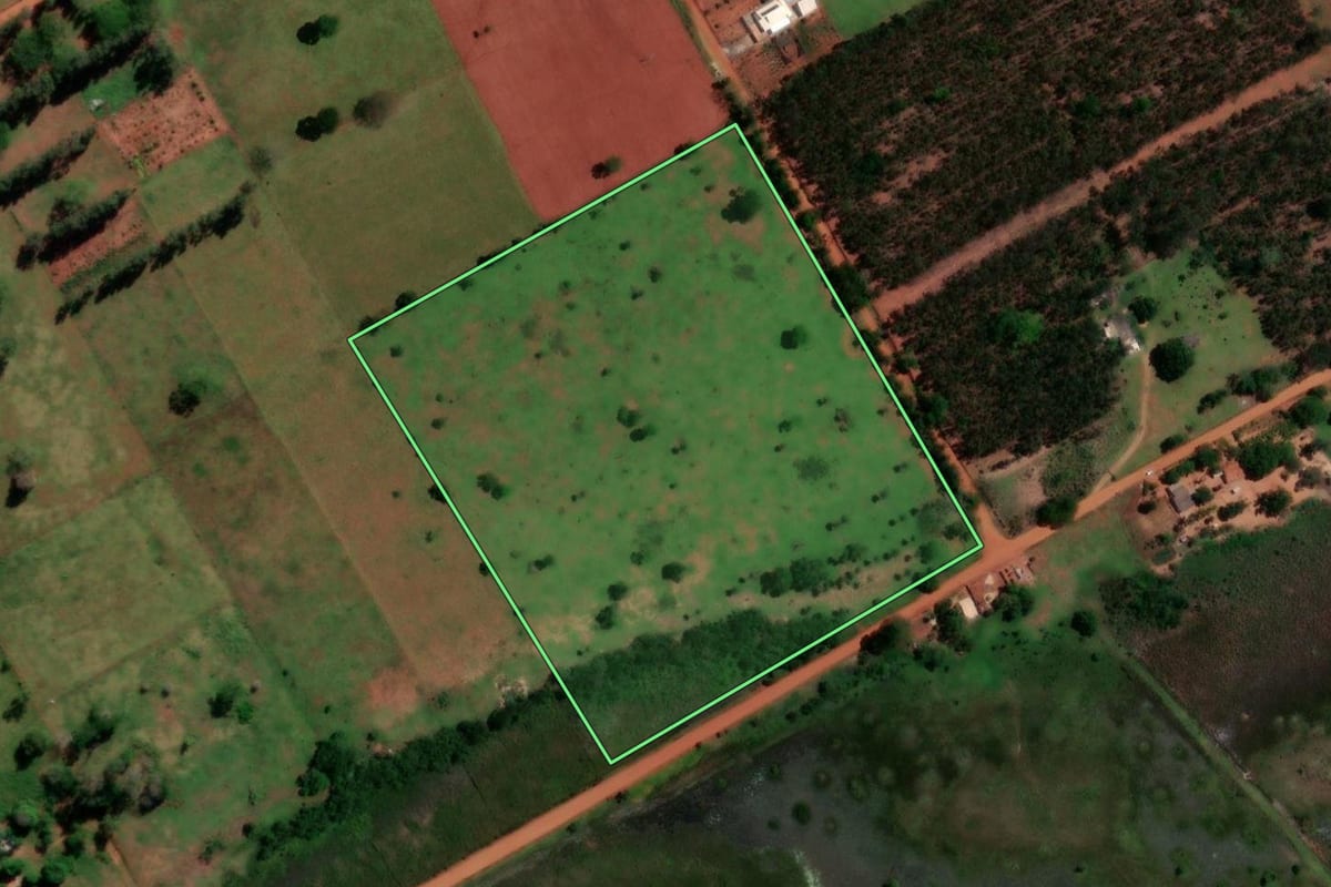 Imagem de satélite do imóvel rural em Rosana (SP), com o contorno declarado no CAR desenhado por cima.